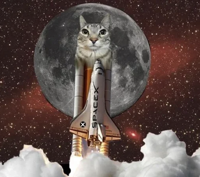 zazu rocket